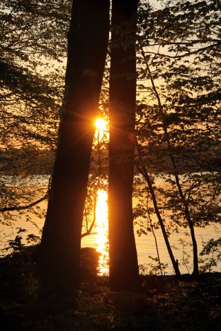 Vorbereitungstreffen