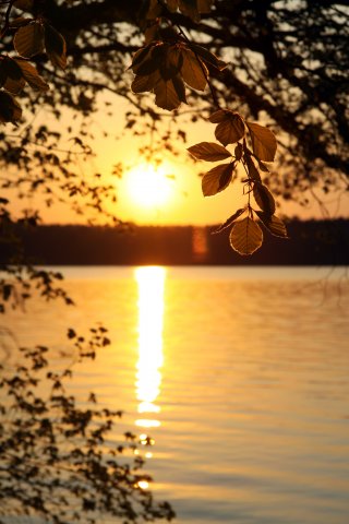 Vorbereitungstreffen